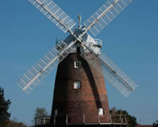 link to Get Involved 